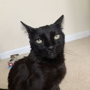 Meet your Posher, Kally